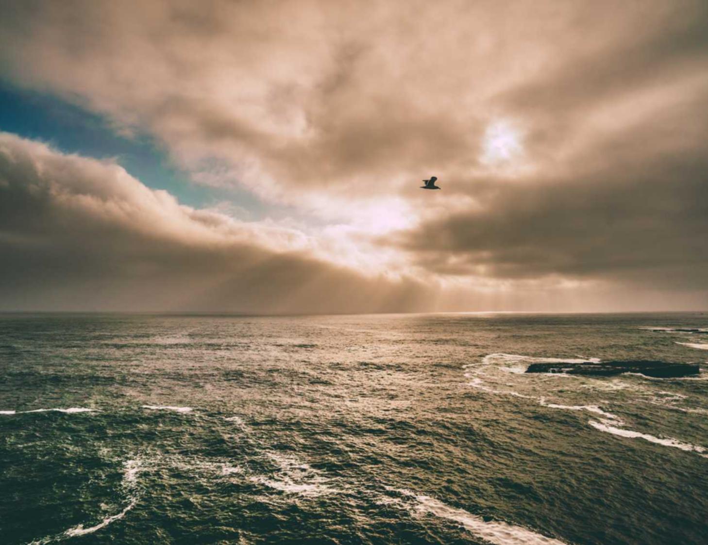 全新微信批发：车来了app详情下载教程手机版